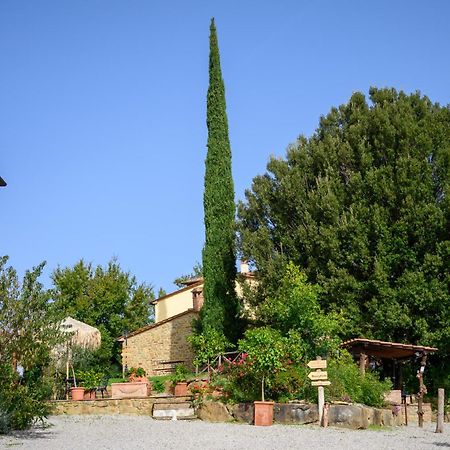 Agriturismo Borgo Sant'Ercolano Ciggiano Dış mekan fotoğraf